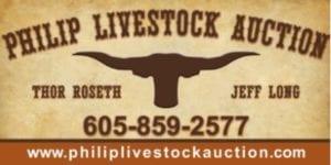 Philip Livestock Auction