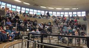 Livestock Auction Crowd